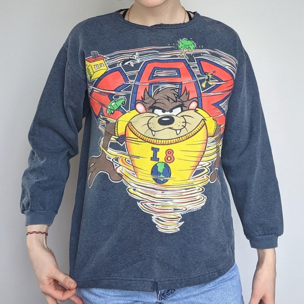 Vintage 90's Taz Hurricane Warner Bros. Jerry Leigh Crewneck Sweatshirt